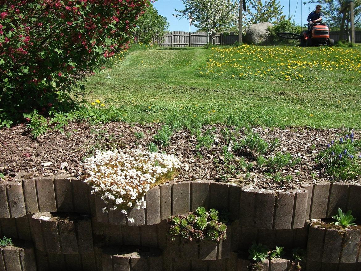 Villa/hushave 1329 billede 1