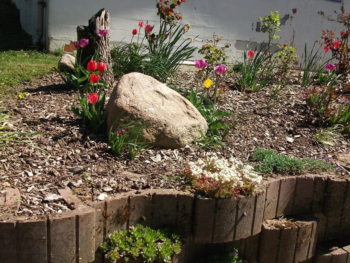 Villa/hushave 1329 billede 2