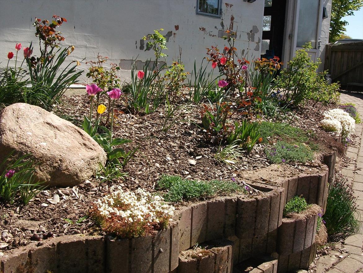 Villa/hushave 1329 billede 3