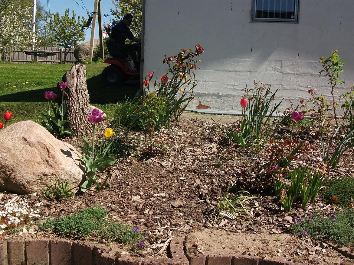 Villa/hushave 1329 billede 4