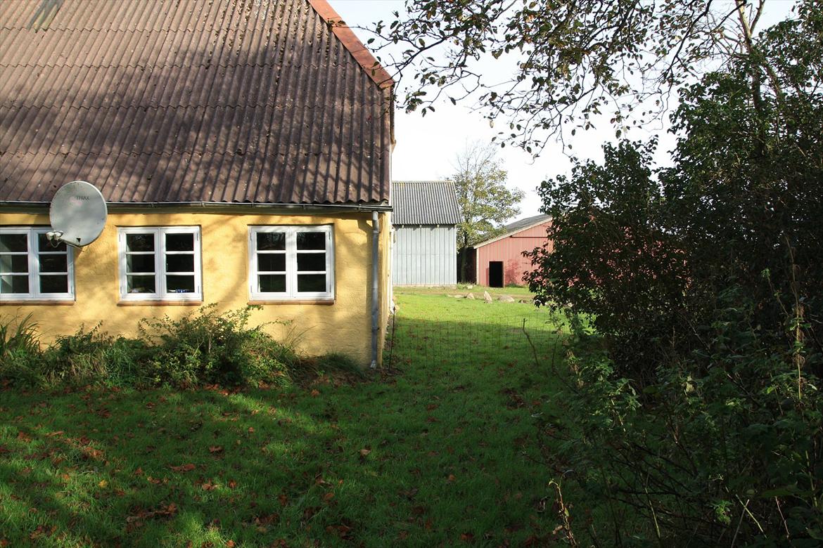 Villa/hushave 15000 m2 billede 3