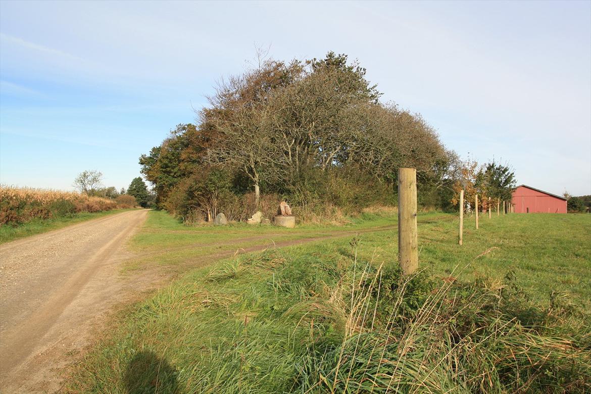 Villa/hushave 15000 m2 billede 12