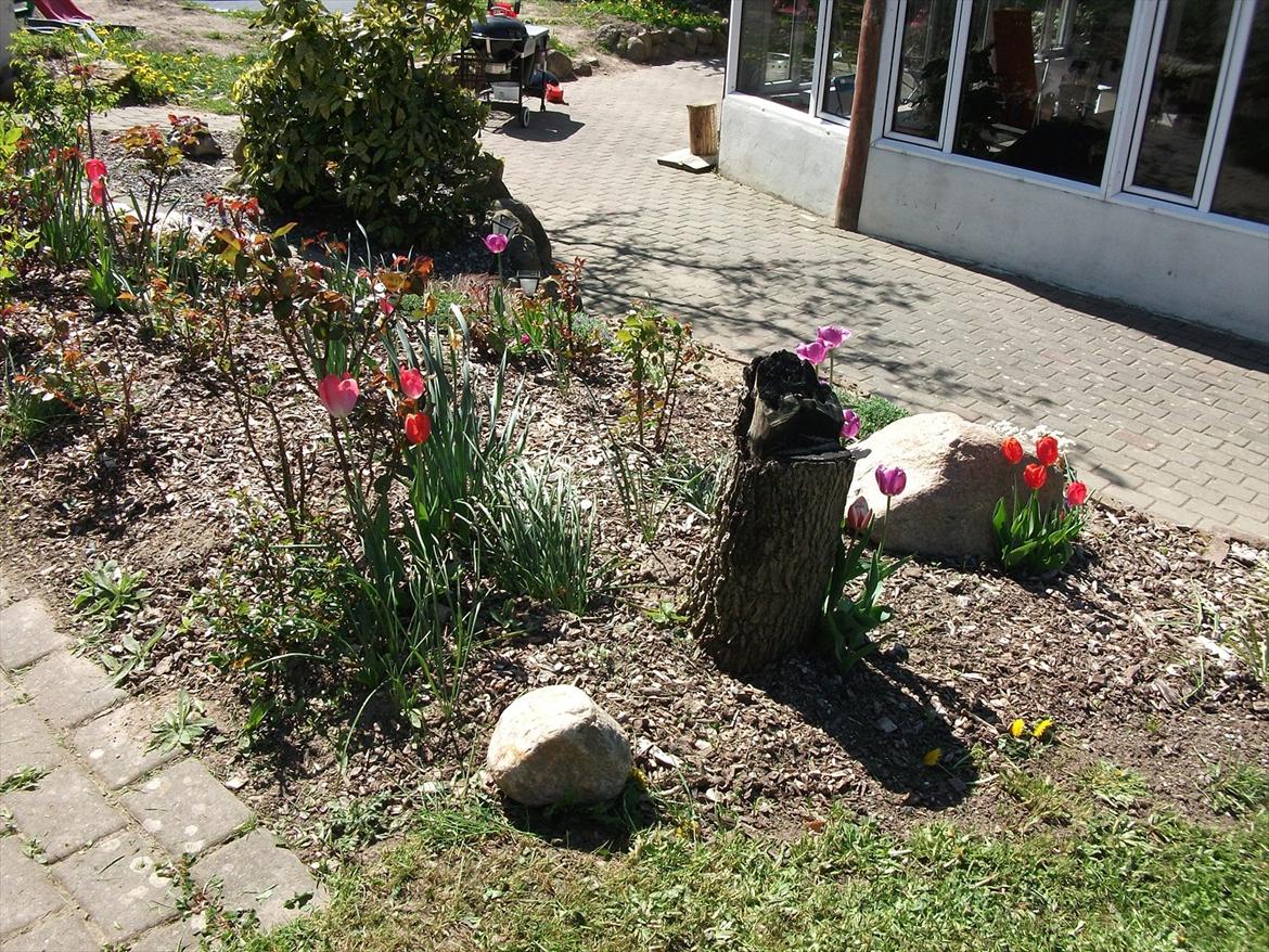 Villa/hushave 1329 billede 6