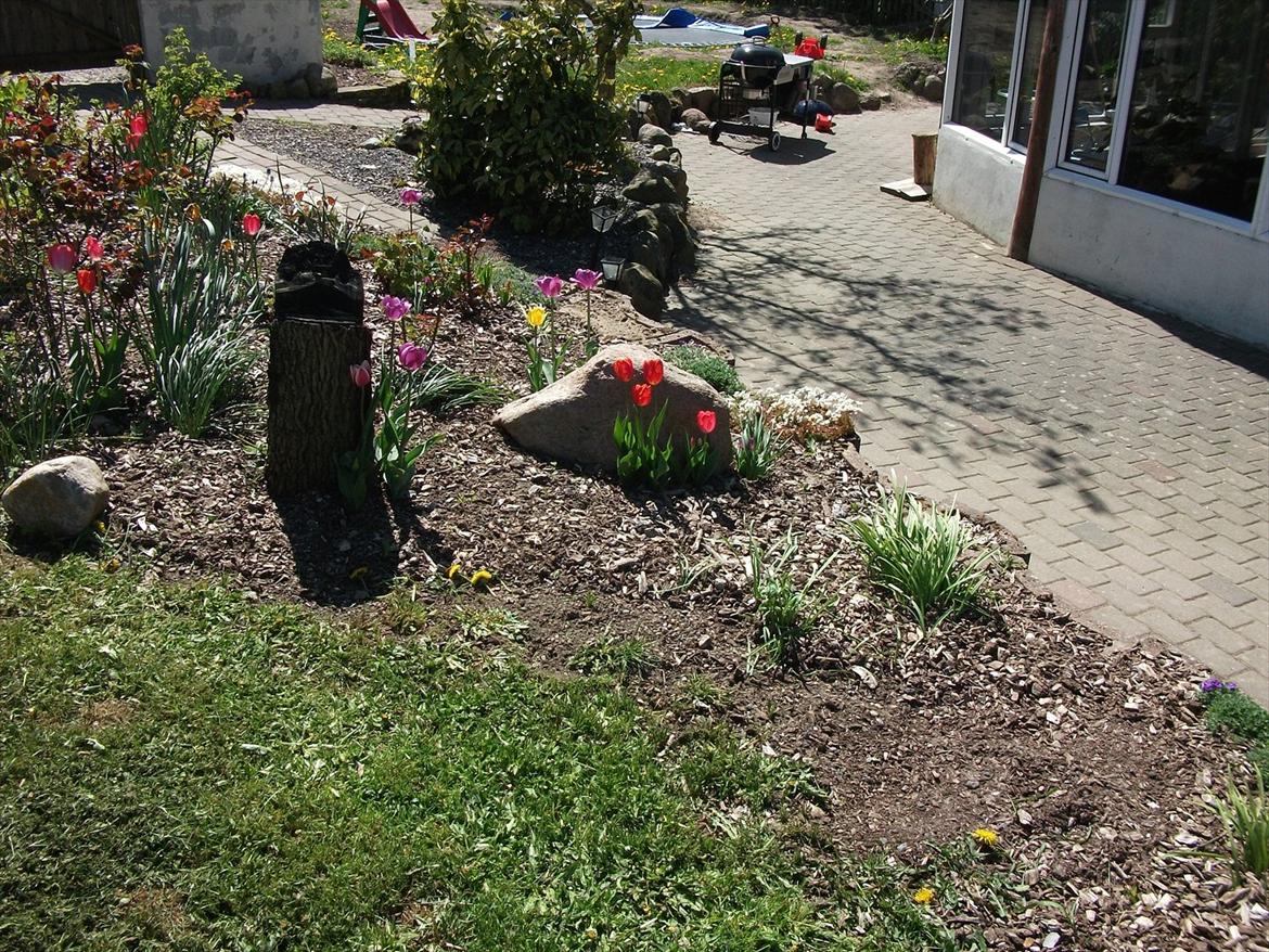 Villa/hushave 1329 billede 7