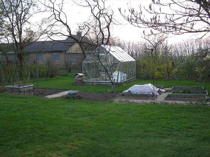 Villa/hushave 1080 m2 - Køkkenhaven afgrænset af hindbærbede. billede 7