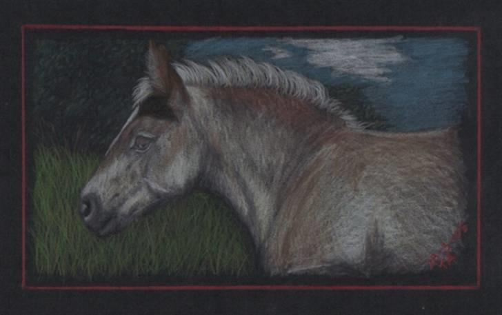 Mine tegninger... - Farveblyant på sort karton. Forestiller Lilly... billede 21