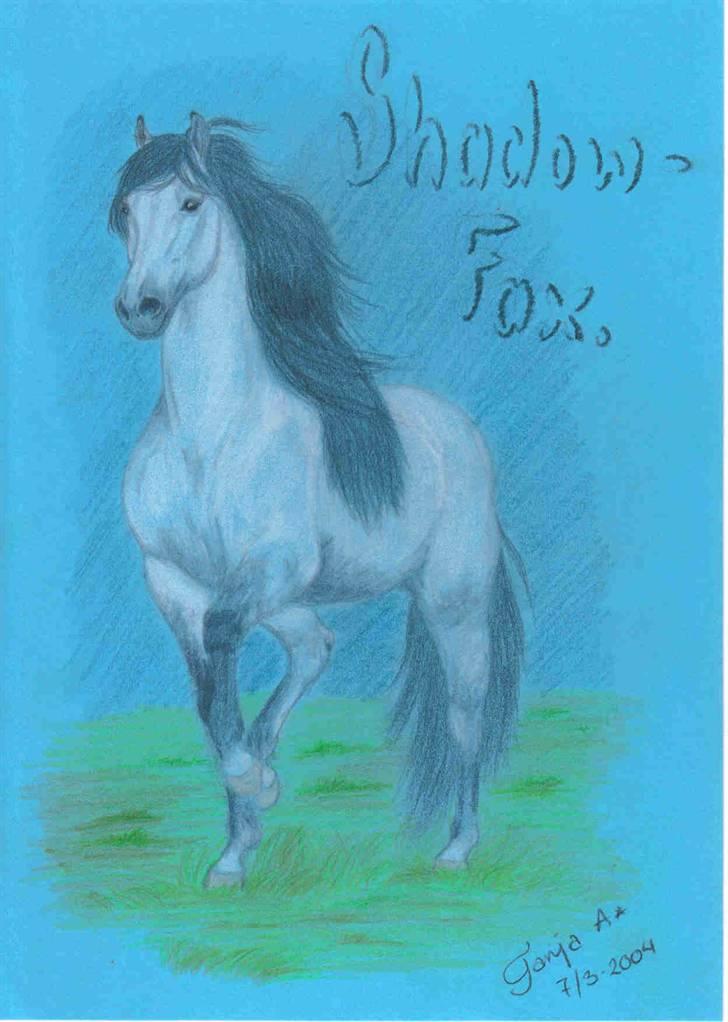 Mine tegninger... - Min egen fortolkning af Skyggefaxe fra Ringenes Herre. Ved godt at den skulle være helt hvid, men det blev den altså ikke! Hehe... Jeg ville lave den med mørk man og hale. Farveblyant på blåt papir. billede 25