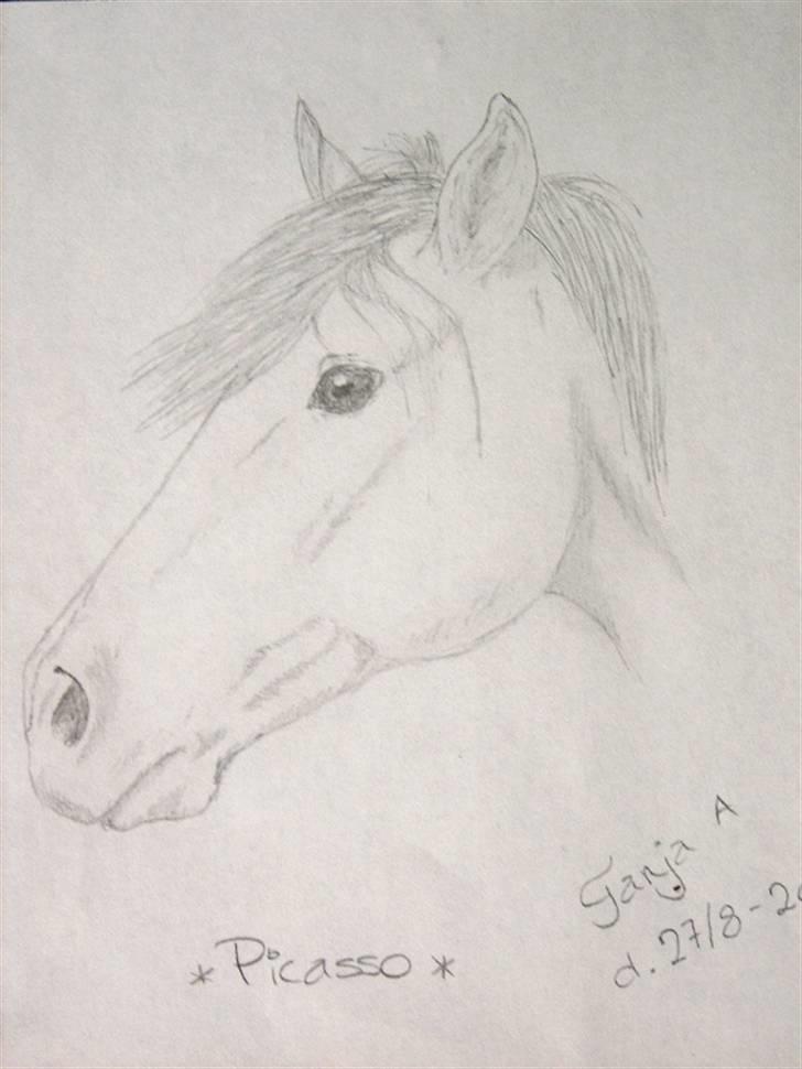 Mine tegninger... - Picasso, en hest en af mine veninder fra efterskolen har passet. Blyant. Den er gammel, fra 2003. billede 27