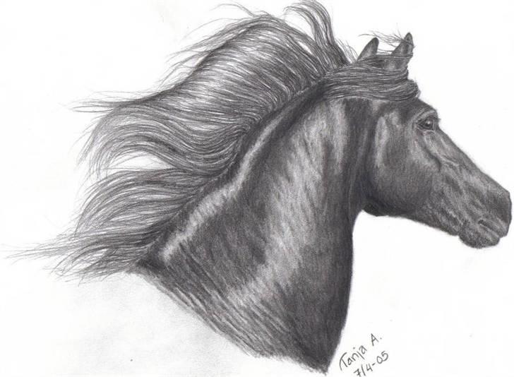 Mine tegninger... - Frieser, tegnet med blyant. billede 1