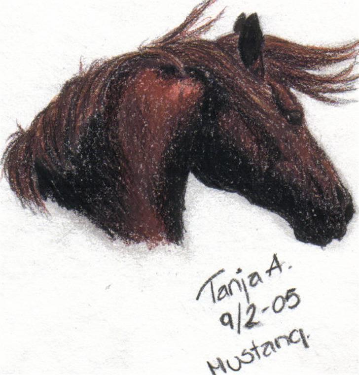 Mine tegninger... billede 4