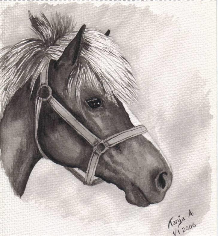 Mine tegninger... - Min pony Nota, lavet i akvarel. billede 5