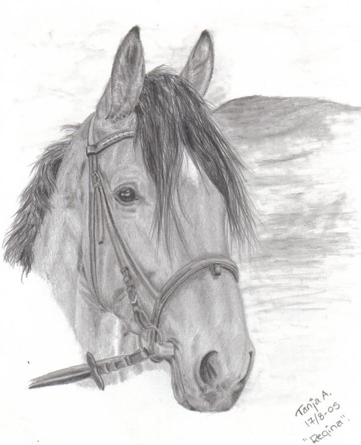 Mine tegninger... - Bestillingsarbejde. Regina (Oldenborg-blanding efter Uffe Korshøjgaard), lavet med blyant. billede 6