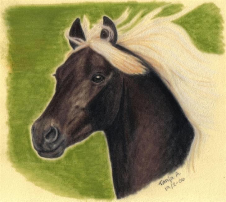 Mine tegninger... - Rocky Mountain Pony, pastel på velourpapir (lidt ligesom stof). billede 7