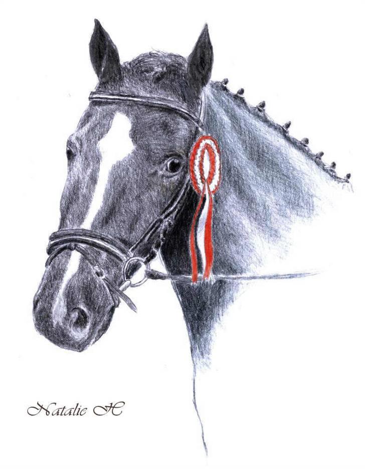Mine tegninger og billeder - En af de første "rigtige" hestetegninger jeg lavede :) billede 1