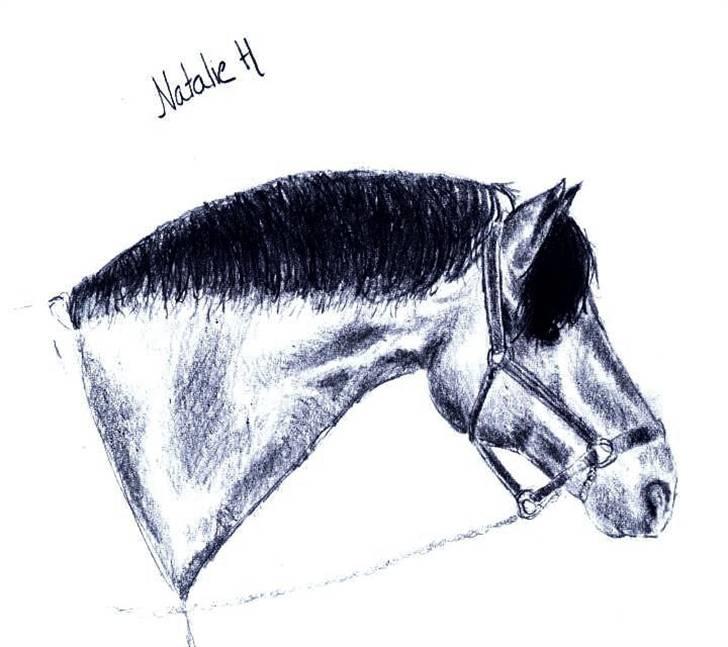 Mine tegninger og billeder - Meget tidlig tegning :) billede 2