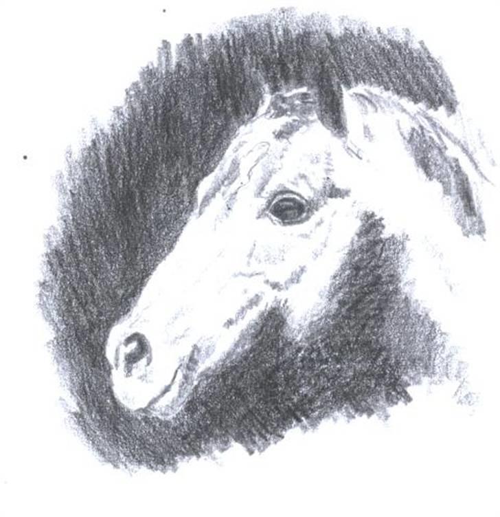 Mine tegninger og billeder billede 6