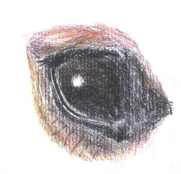 Mine tegninger og billeder - Et øje ;) billede 7