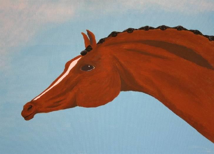 Mine tegninger og billeder - En af mine nyeste heste :D akrylmaling billede 9