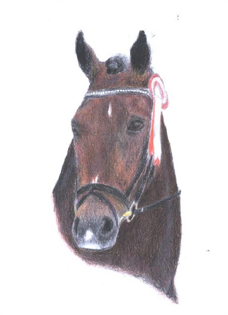 Mine tegninger og billeder - Tegning af mister malthe :) billede 10