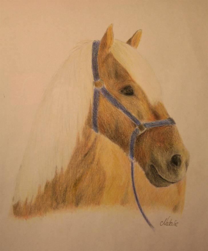 Mine tegninger og billeder - Og endnu en tegning! billede 11