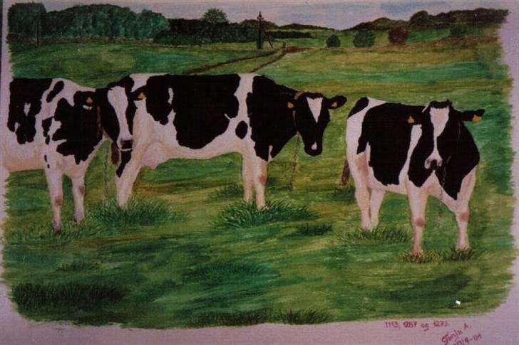 Mine tegninger... - Køer. Gave til min anden chef. Akvarel. denne er jeg meget glad for. billede 12