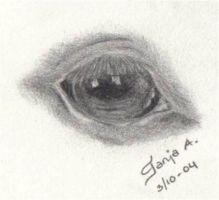 Mine tegninger... - Hesteøje... Blyant. billede 14