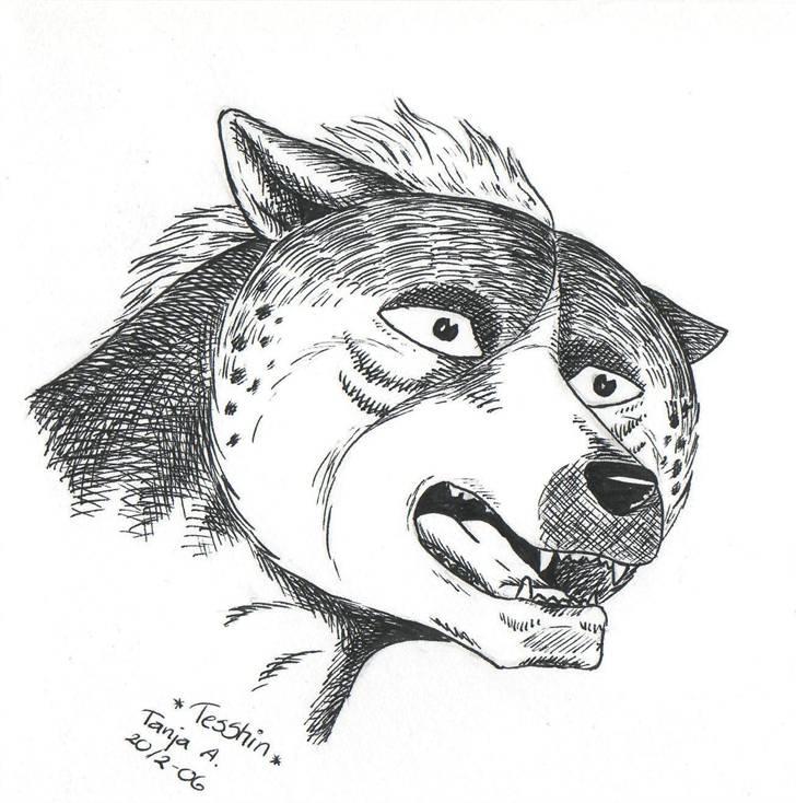 Mine tegninger... - Tesshin fra anime-serien Ginga Densetsu Weed. billede 19