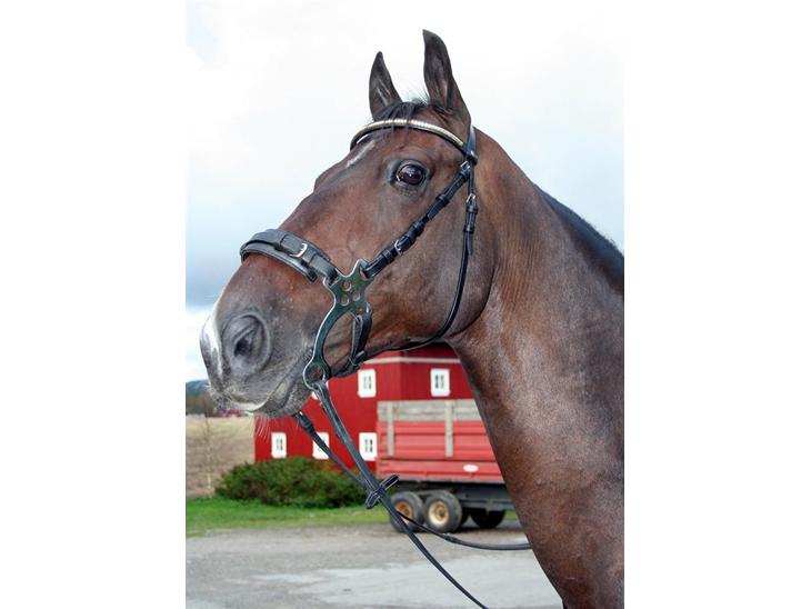 {{currentPhoto.altText}} billede {{currentPhoto.number}}