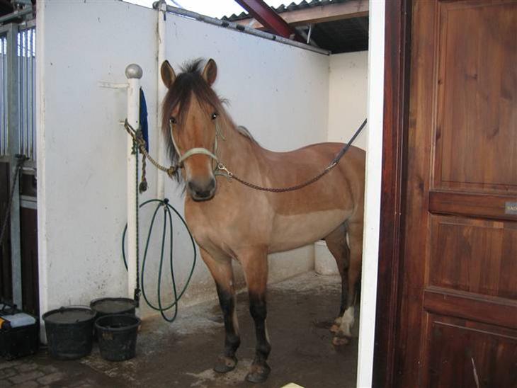 {{currentPhoto.altText}} billede {{currentPhoto.number}}