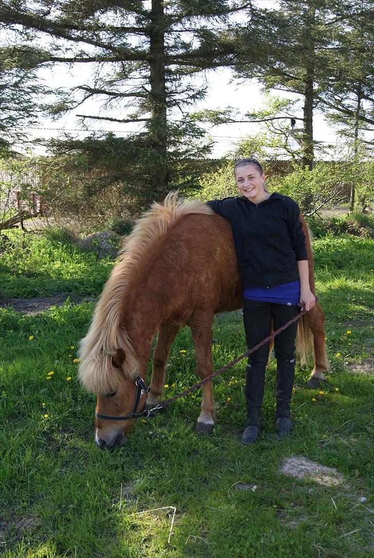 Dengang man var Islænder-rytter ;) billede 4