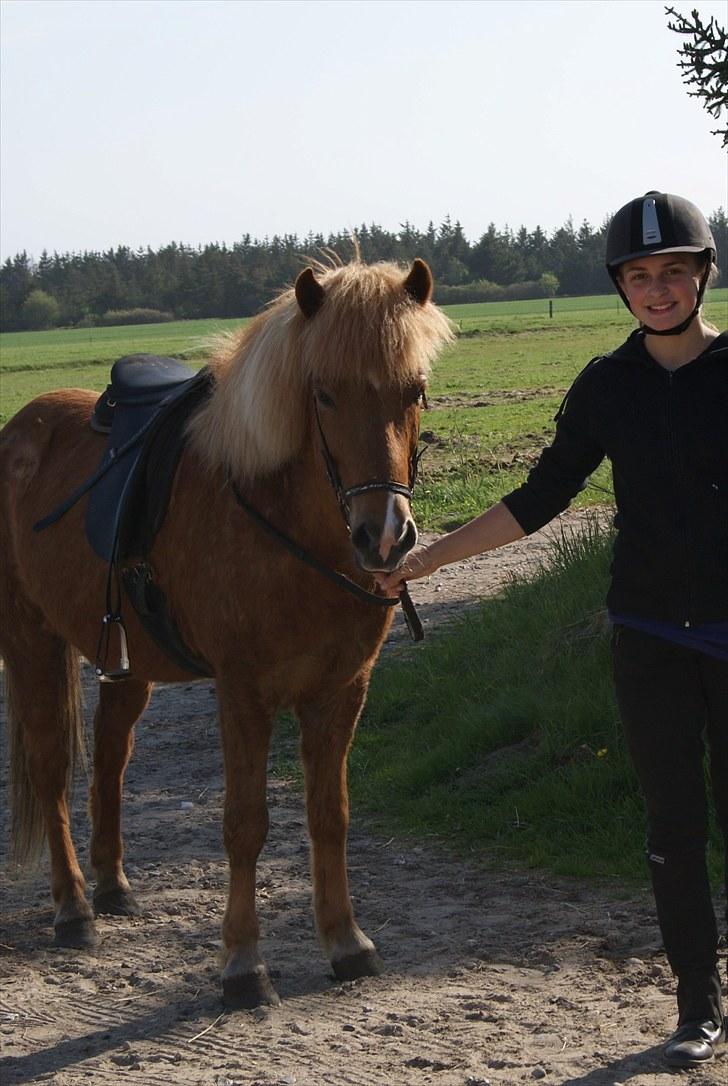 Dengang man var Islænder-rytter ;) billede 5