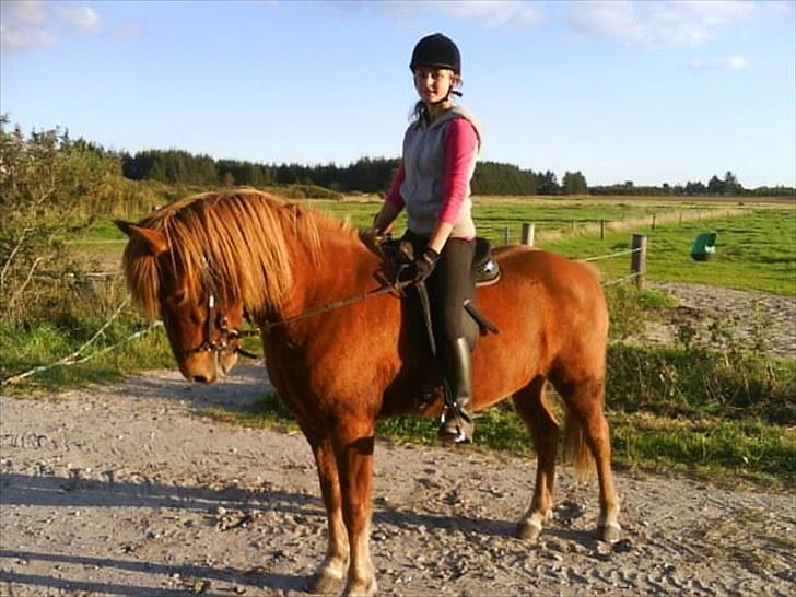 Dengang man var Islænder-rytter ;) - Huni billede 22