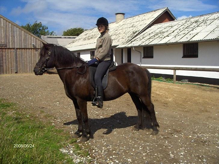 Dengang man var Islænder-rytter ;) - Flügga billede 23