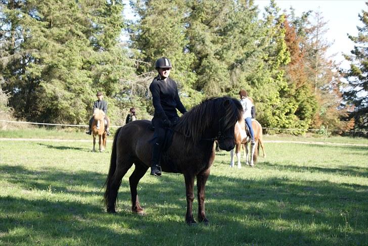 Dengang man var Islænder-rytter ;) - Fengur billede 24