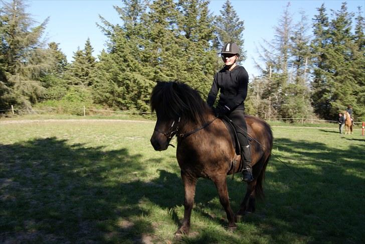 Dengang man var Islænder-rytter ;) billede 25