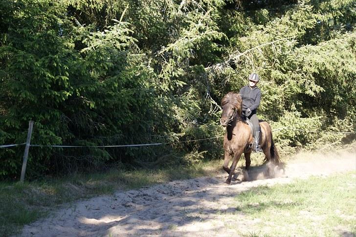 Dengang man var Islænder-rytter ;) billede 27
