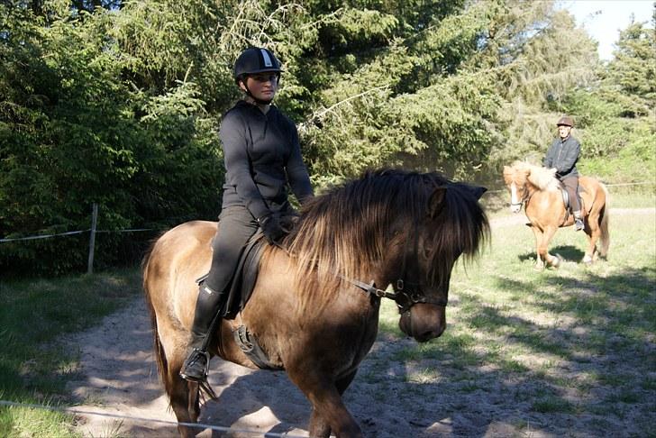 Dengang man var Islænder-rytter ;) billede 28