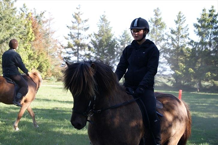 Dengang man var Islænder-rytter ;) billede 29