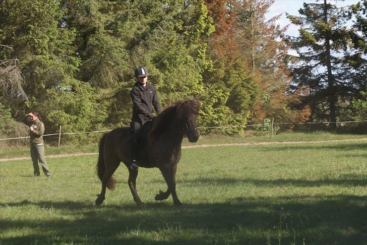 Dengang man var Islænder-rytter ;) billede 30