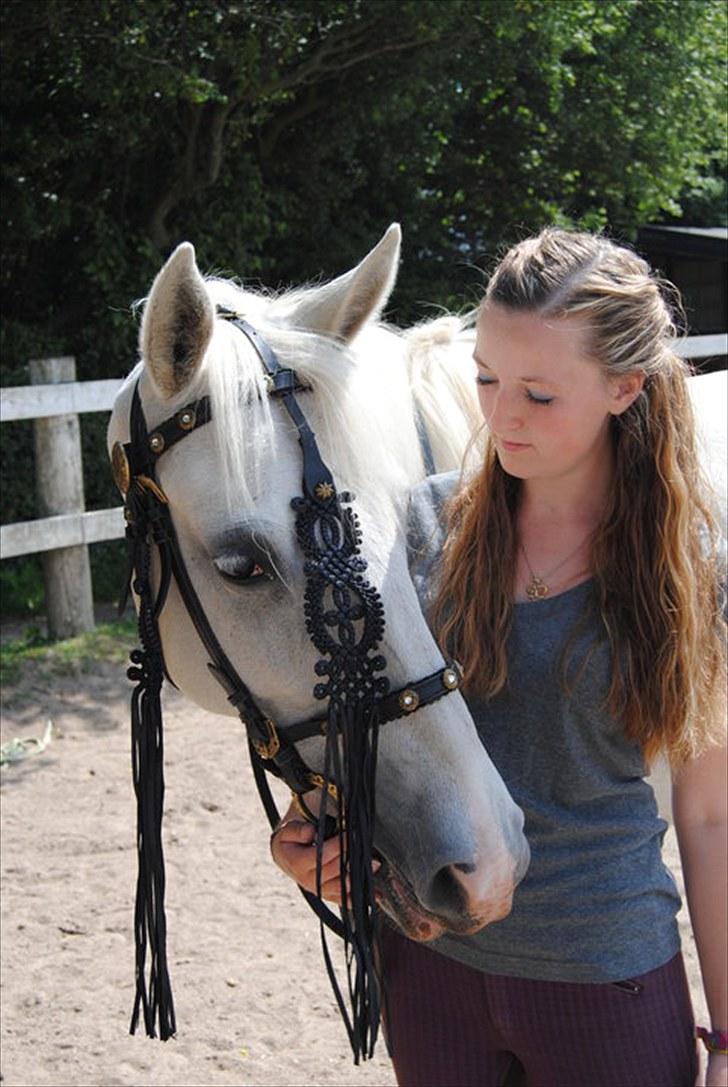 Rytteren - Cille Nathalie Madsen billede 7