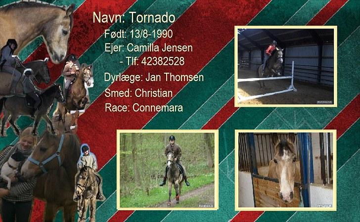 PhotoFiltre Billeder - Bokstavle - Til Camille og Tornado :D billede 14