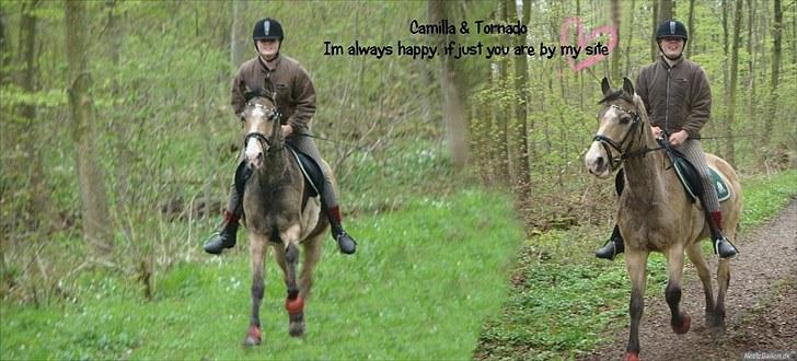 PhotoFiltre Billeder - Til Camilla og Tornado :D billede 15