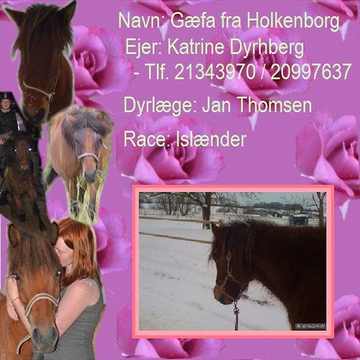 PhotoFiltre Billeder - Til Katrine og Gæfa :D billede 17