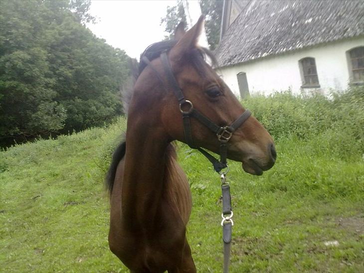 {{currentPhoto.altText}} billede {{currentPhoto.number}}