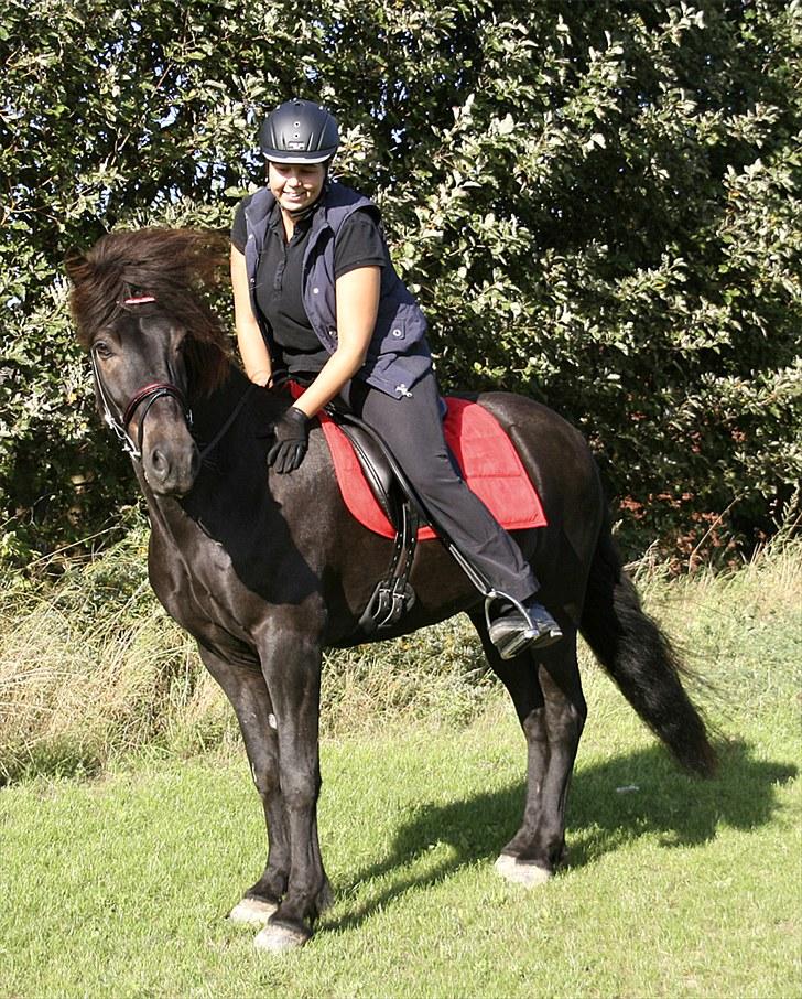 Mit udstyr - Rød trense med Horseguard rød pad billede 14