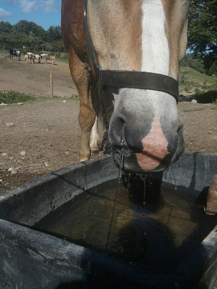 Stabejs* - Vand<3 billede 22