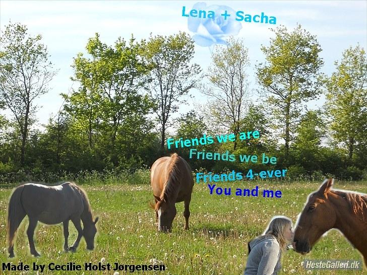 PhotoFiltre Billeder - Til Sacha og Lena :D billede 18