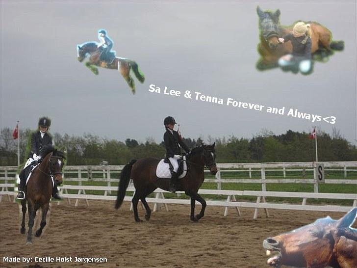 PhotoFiltre Billeder - Til Tenna og Sa Lee :D billede 20