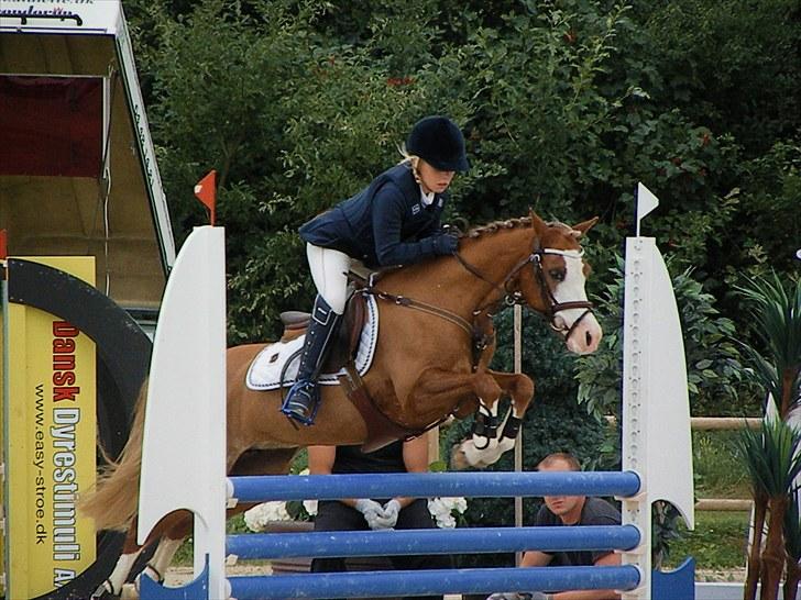 DM - Middelfart Ridecenter, Rosenkilde Gods billede 3