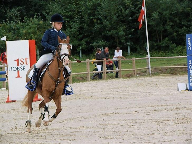 DM - Middelfart Ridecenter, Rosenkilde Gods billede 4